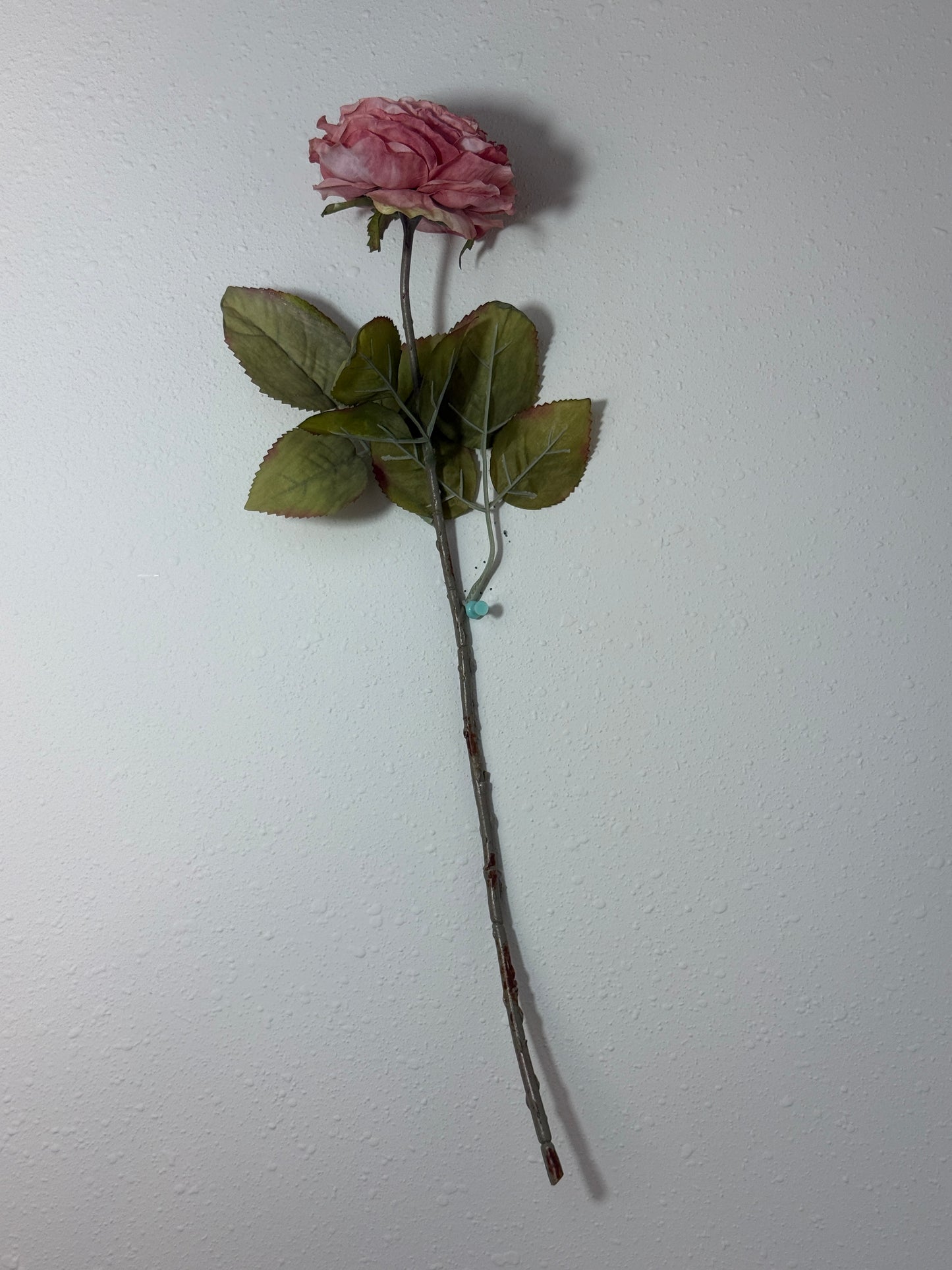 Dried Look Peony - Blush/Mauve