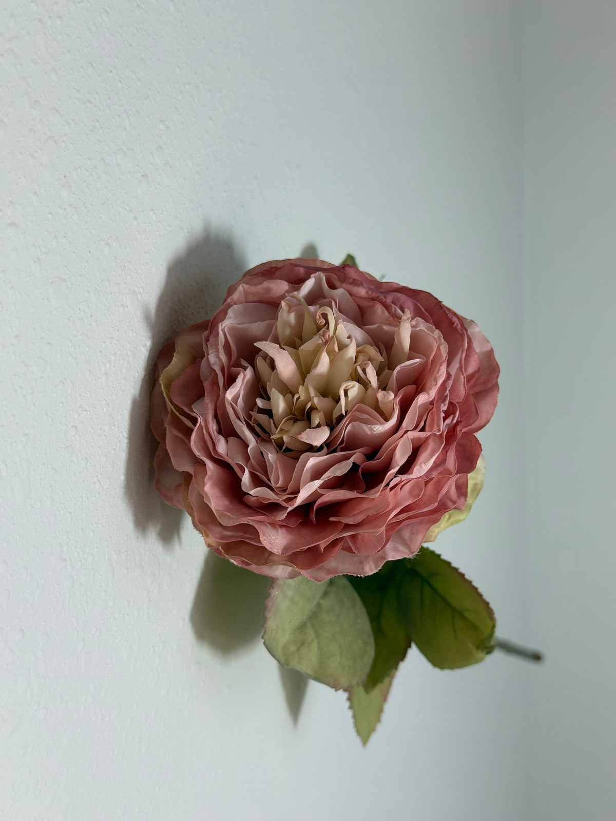 Dried Look Peony - Blush/Mauve