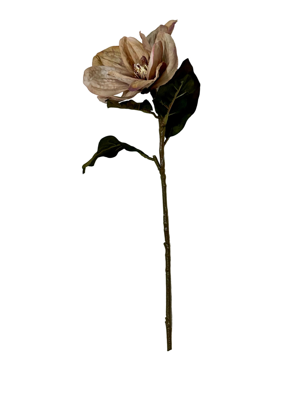 Dusty Taupe Magnolia Stem