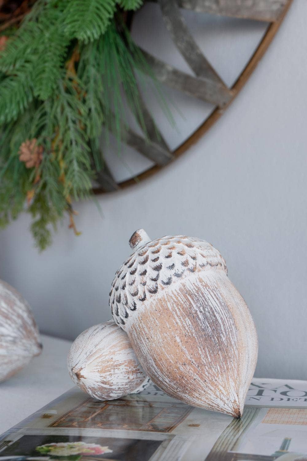 Acorn 6”