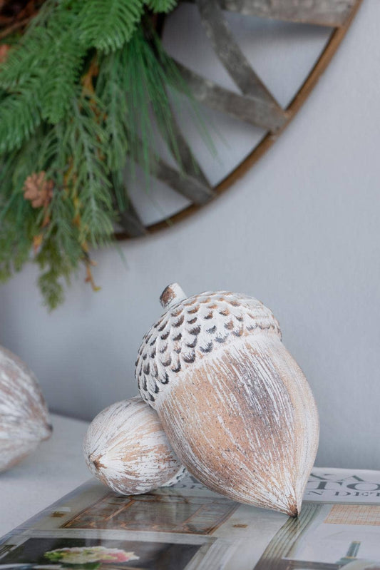 Acorn 6”