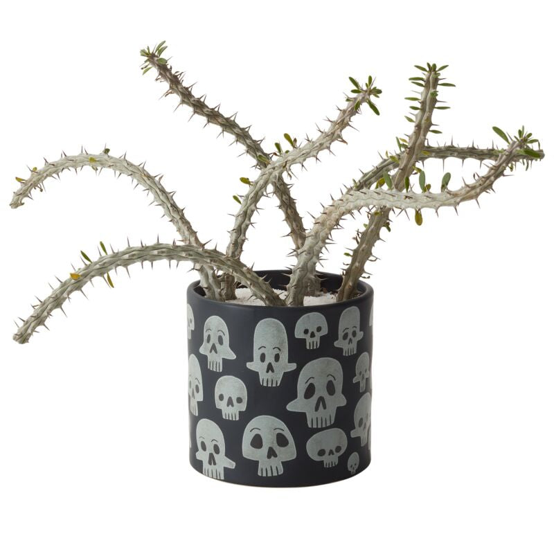 Calaca Planter Pot (2 sizes)