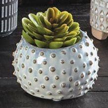 Cream Dot Planter