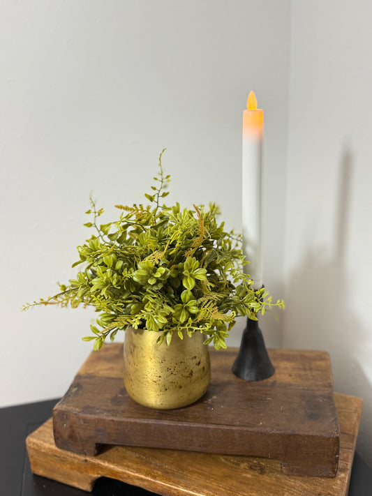 Mixed Fern half orb