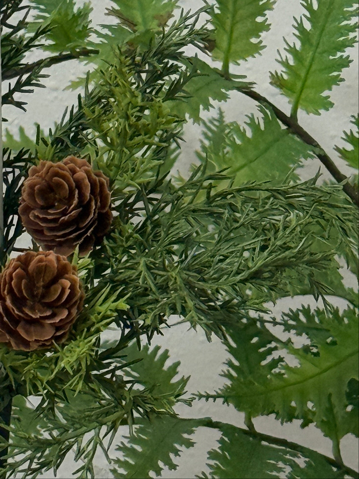 Prickly Pine Taper Candle Ring w/ Pinecones
