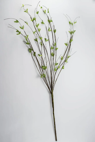 GREENING WILLOW TWIG SPRAY 38"