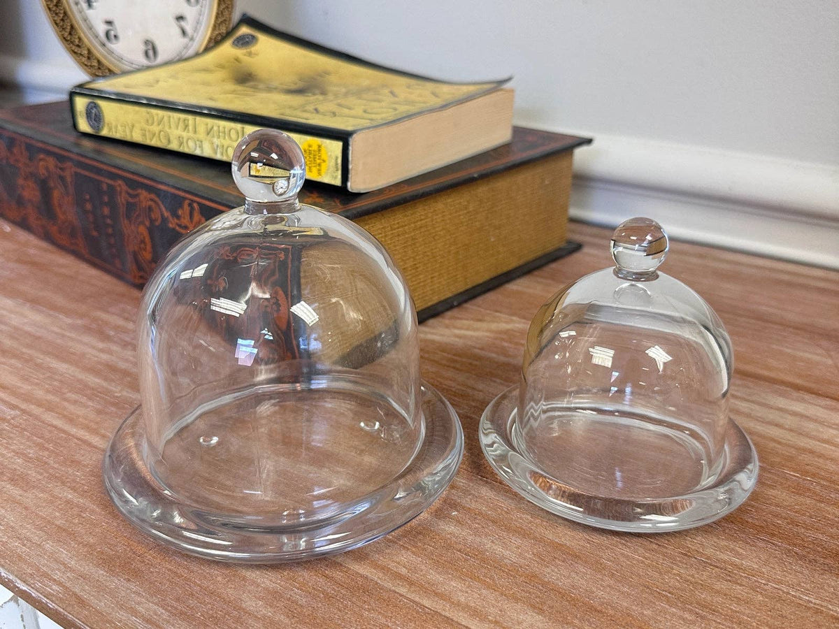 Glass Dome Display Cloche with Base (2 sizes)