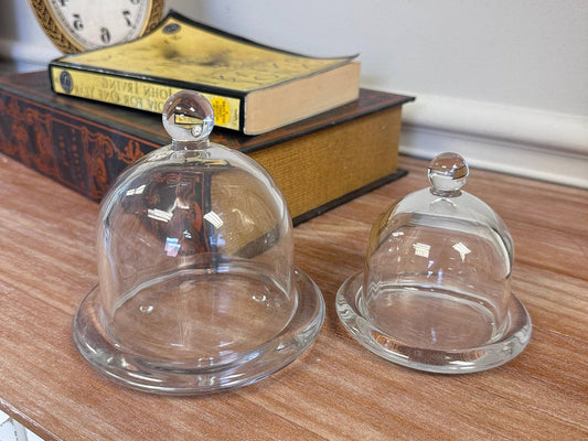 Glass Dome Display Cloche with Base (2 sizes)