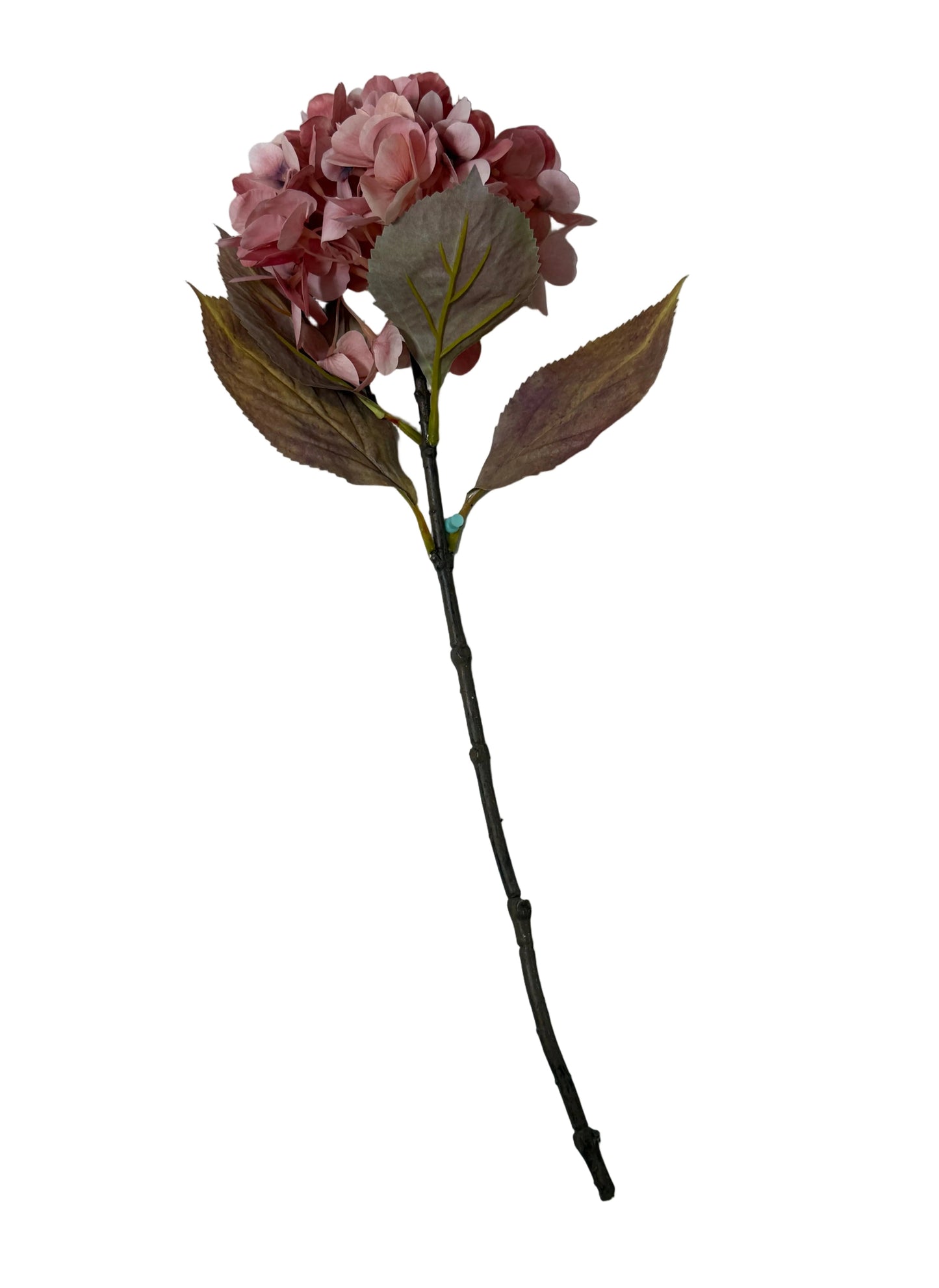 Hydrangea - Blush/Mauve