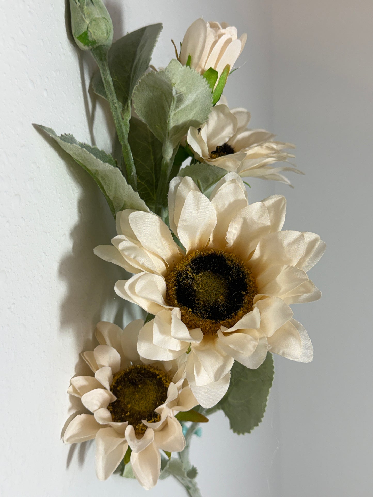 Cream Sunflower stem