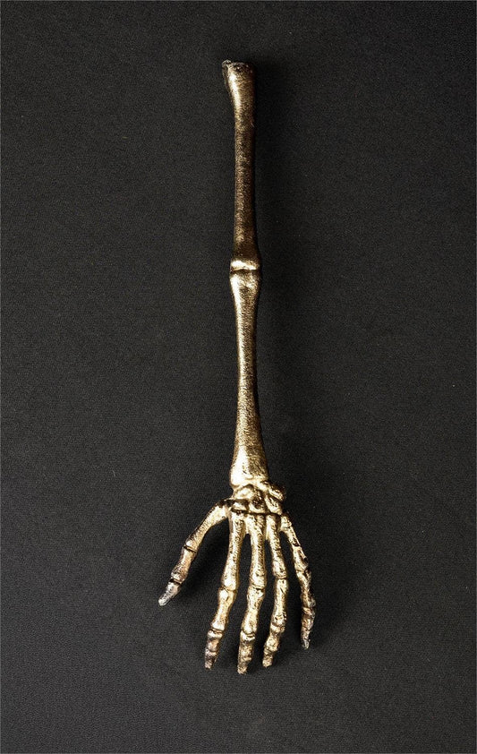 Phantom Skeleton Hand Curio (Pk/06) | Gothic Halloween Decor