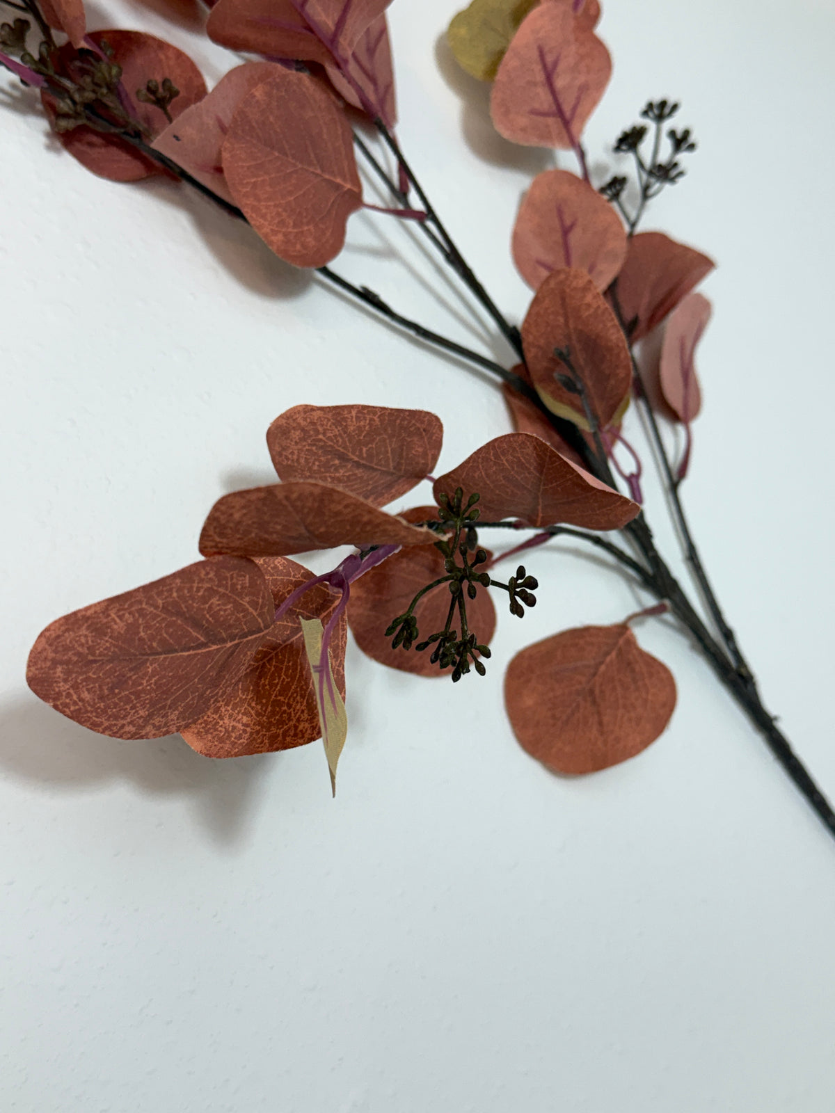 Misc. Leaf Eucalyptus Spray