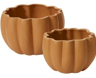 Spiced Pumpkin Pot (2 Colors)