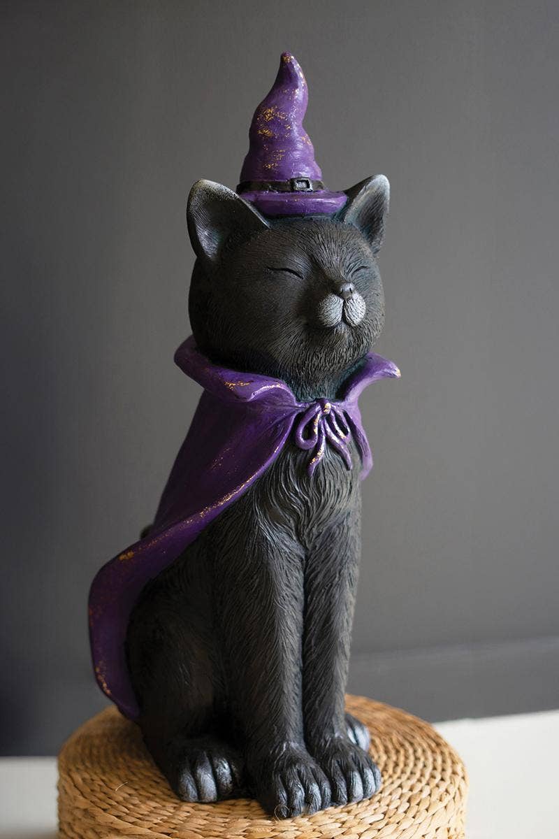 Magical Black Cat