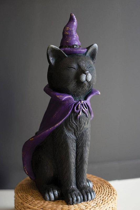 Magical Black Cat