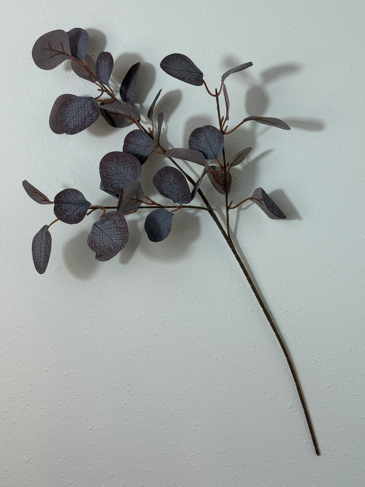 Misc. Leaf Eucalyptus Spray