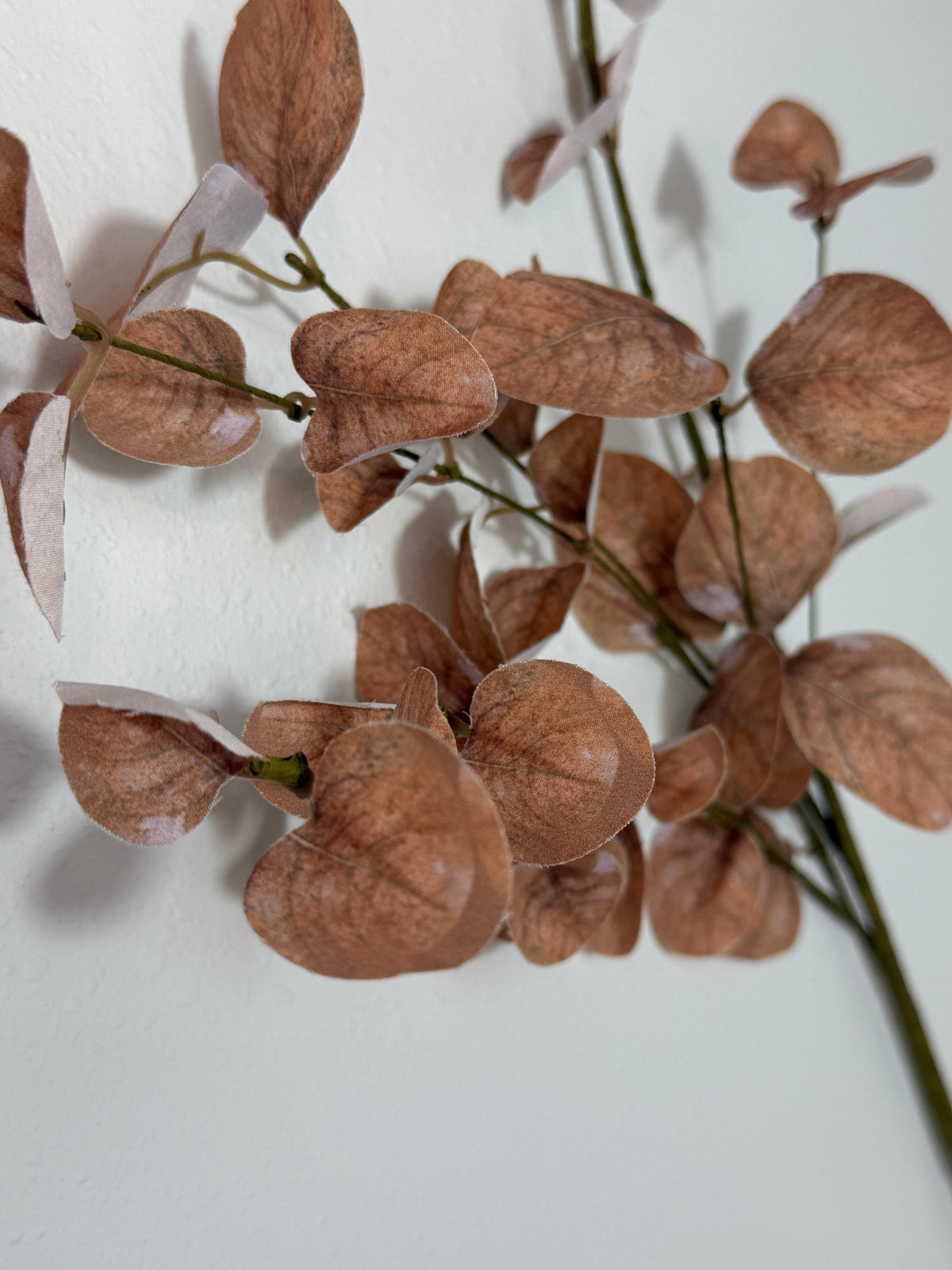 Misc. Leaf Eucalyptus Spray