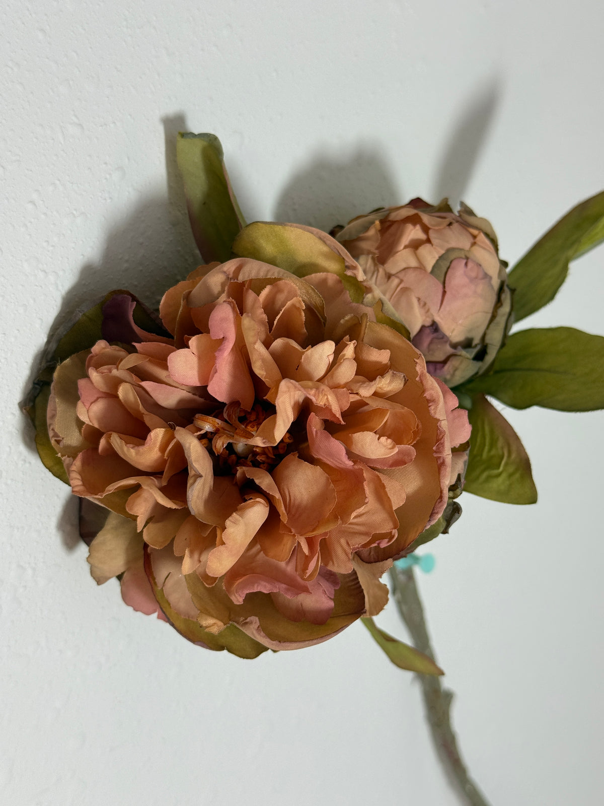 Dried Look Mauve Peony /Green