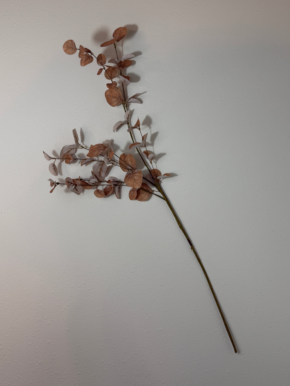 Misc. Leaf Eucalyptus Spray