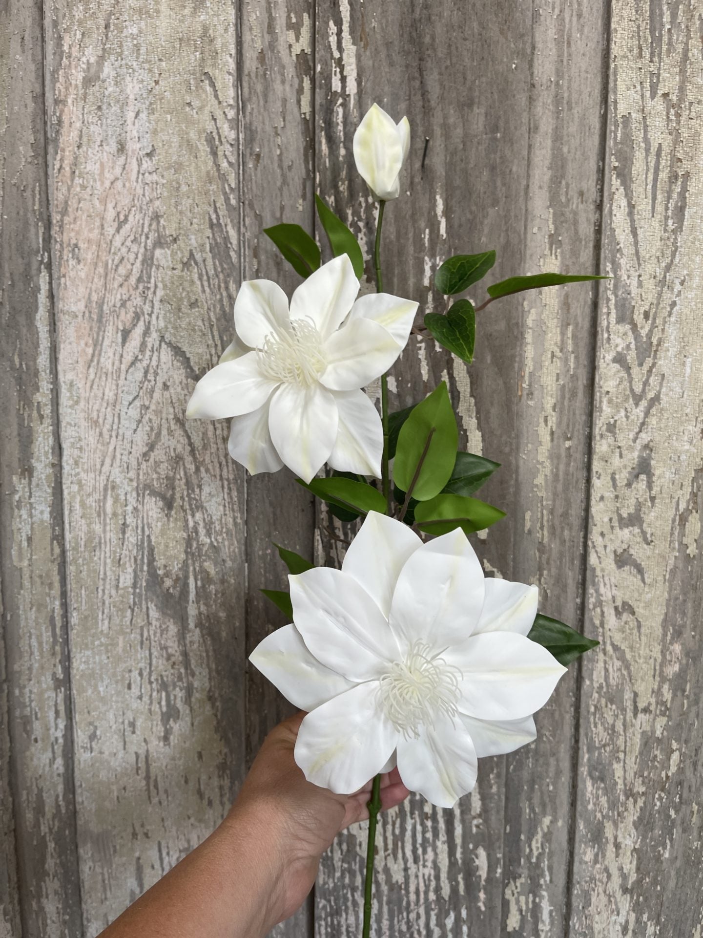 Artificial white clematis, 33.5”