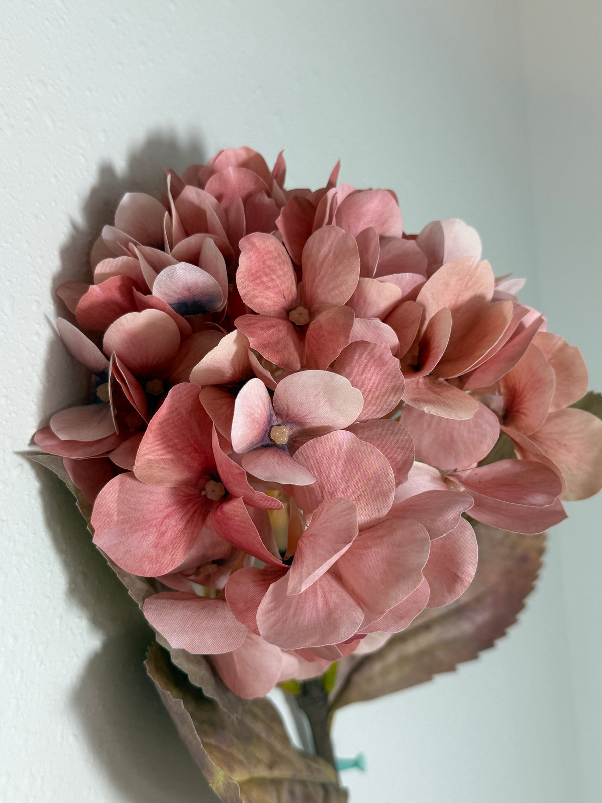 Hydrangea - Blush/Mauve