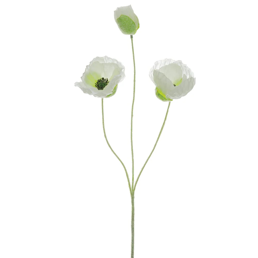 20" Poppy Spray (Cream)