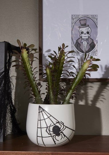 Spiderweb Pot (2 sizes)