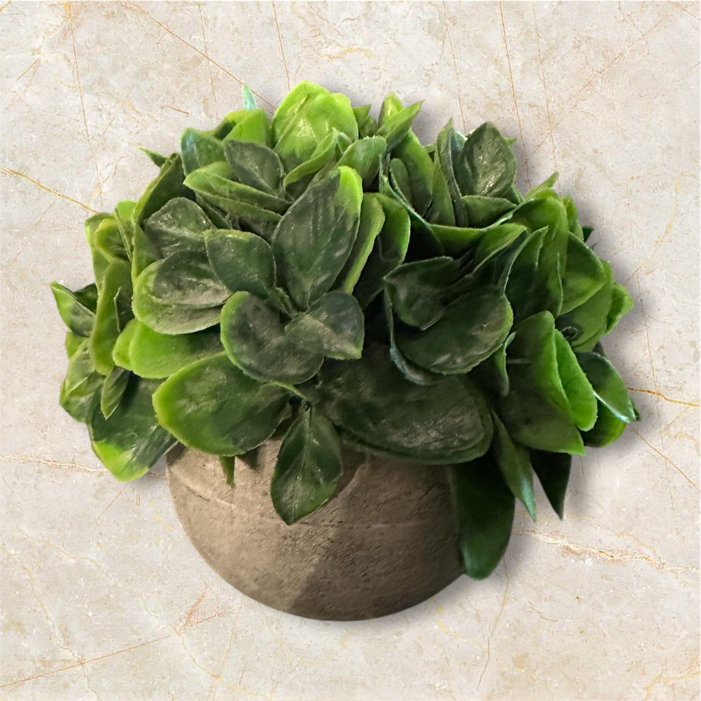 Spade Leaf Plant Pot (small)