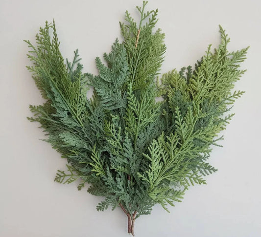 Cedar Bundle with 3 Stems – 28in.