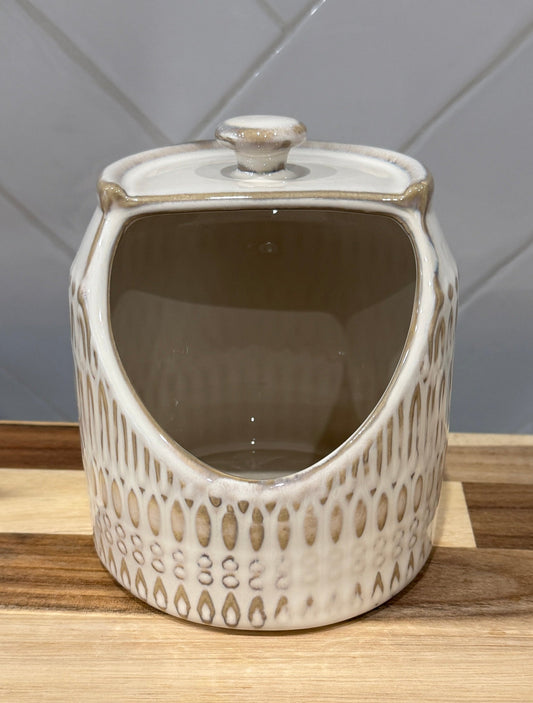 Repurposed Container  -Planter
