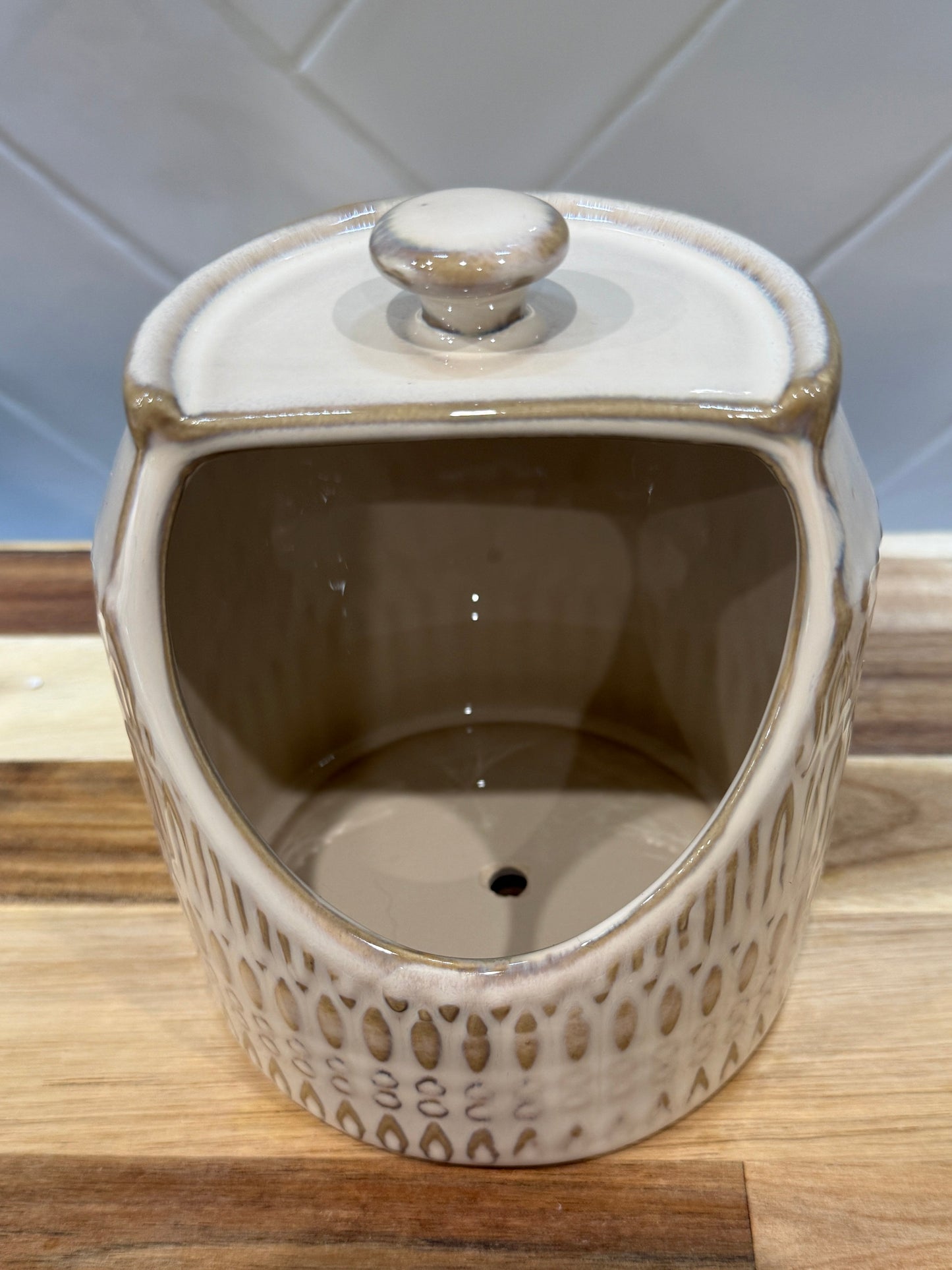 Repurposed Container  -Planter