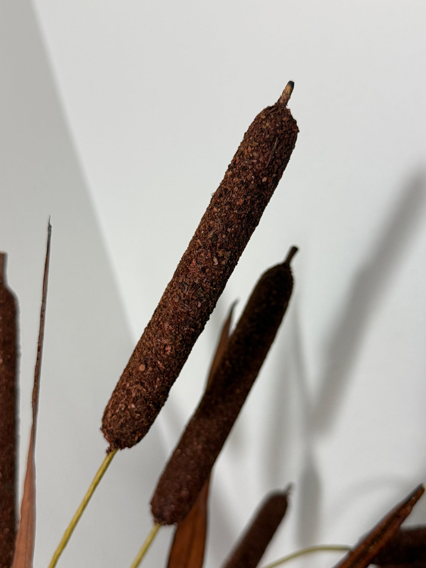 Cattail Pick Spray