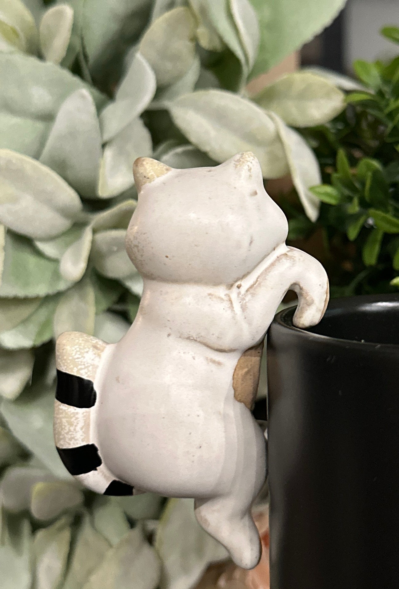 Climbing Raccoon Pot Hanger 4"H