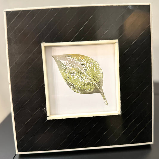 Scratch & Dent: Black and White Bone Frame