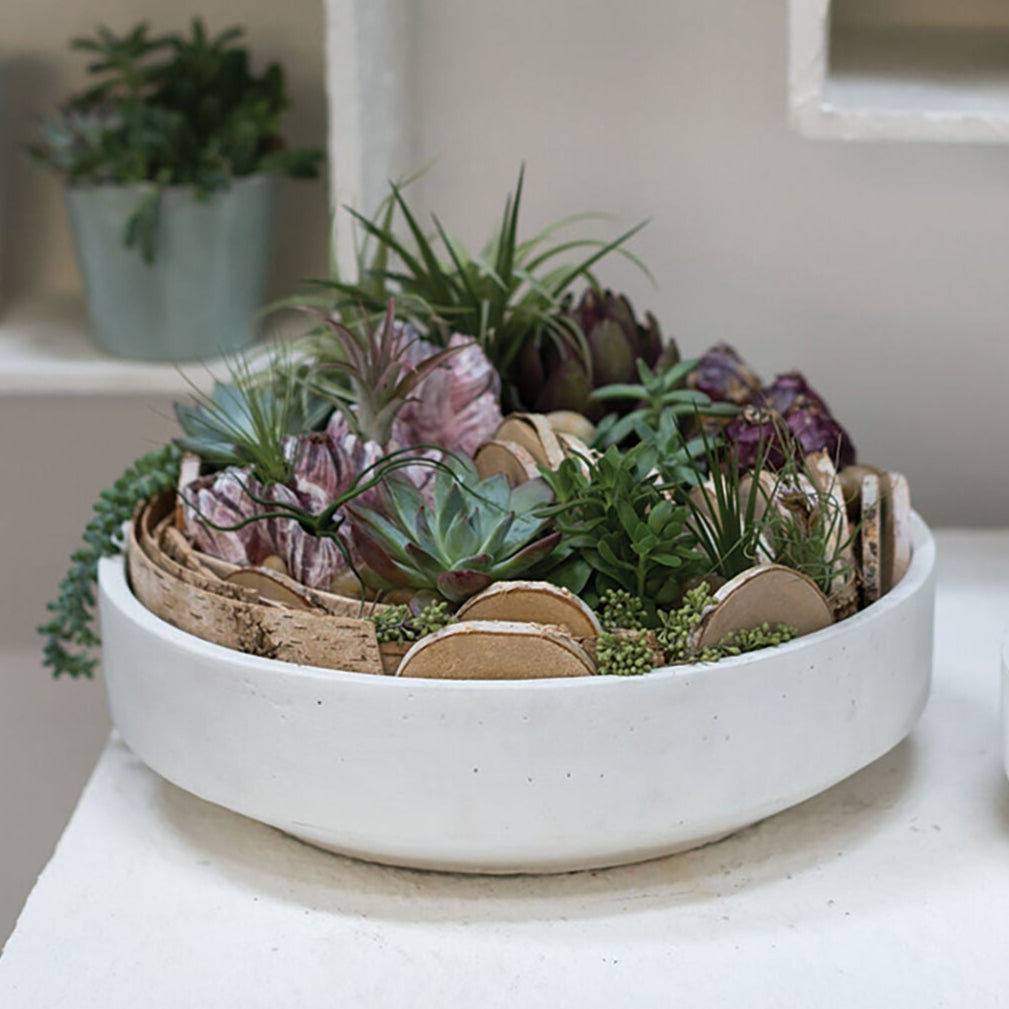 Zane Bowl