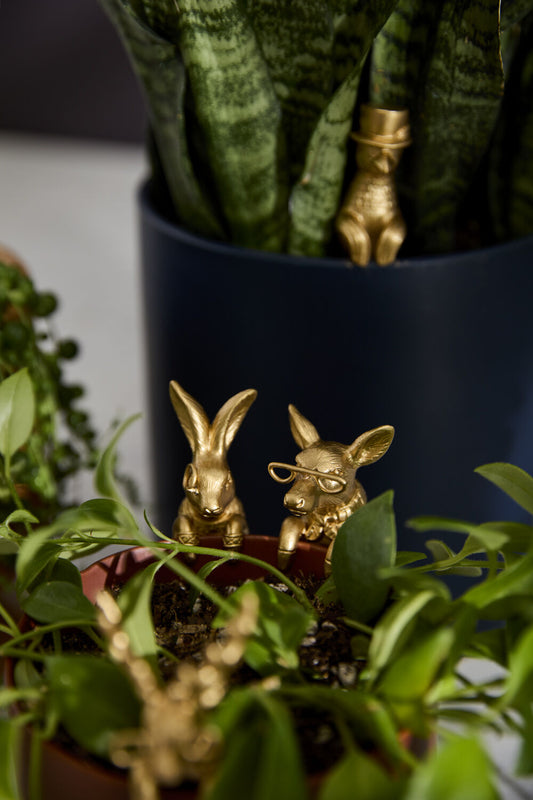 E+E Pot Huggers (6 styles)