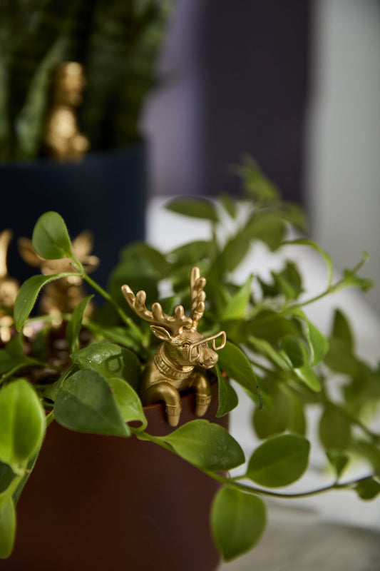 E+E Pot Huggers (6 styles)