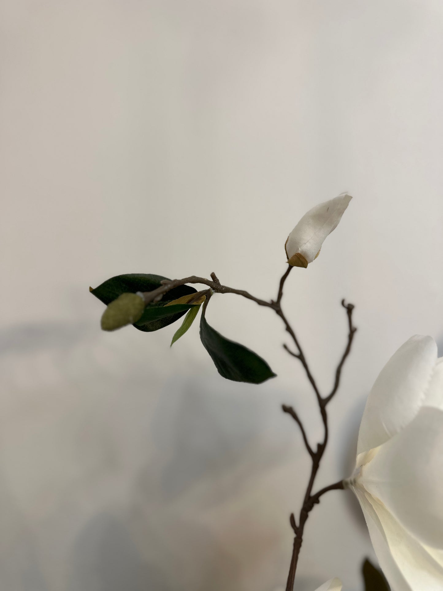 22.5" Magnolia Spray (White)