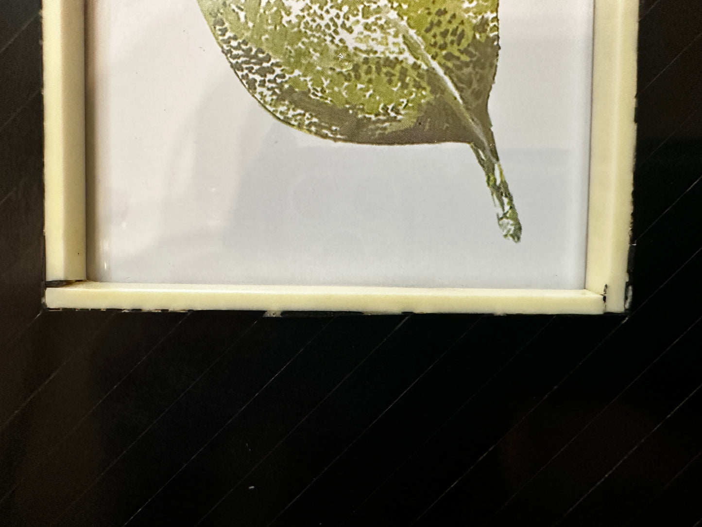 Scratch & Dent: Black and White Bone Frame