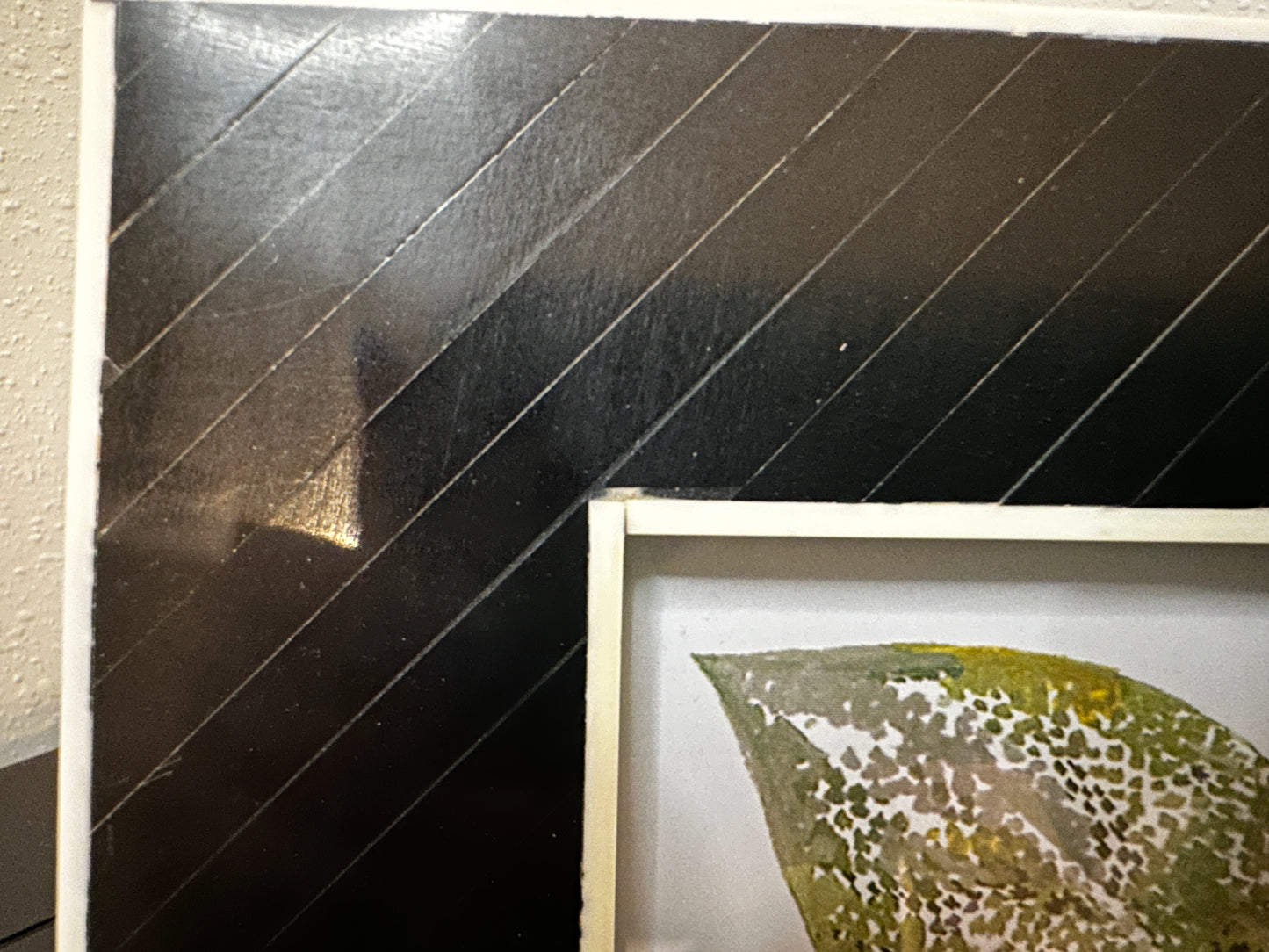 Scratch & Dent: Black and White Bone Frame