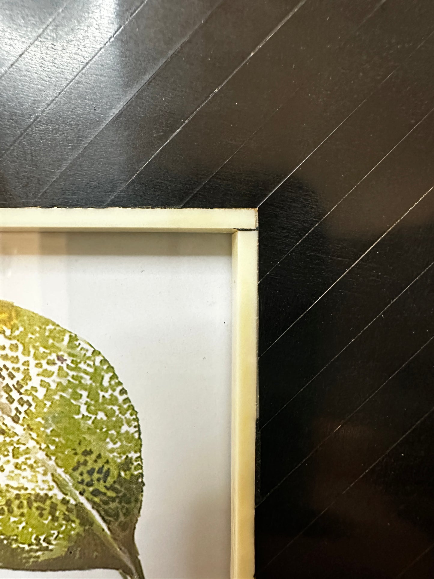 Scratch & Dent: Black and White Bone Frame