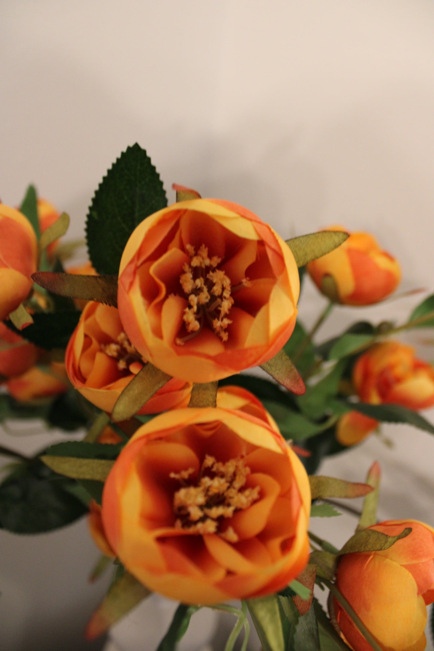Bold Bloom Peony Arrangement