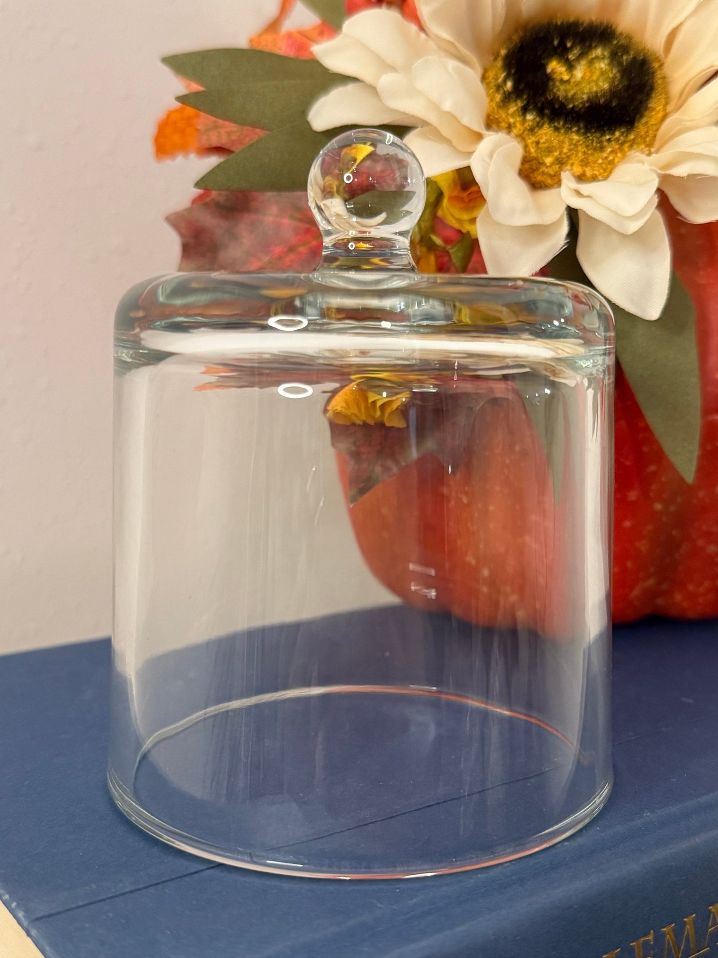 Glass Cloche