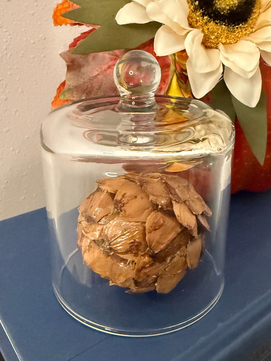 Glass Cloche