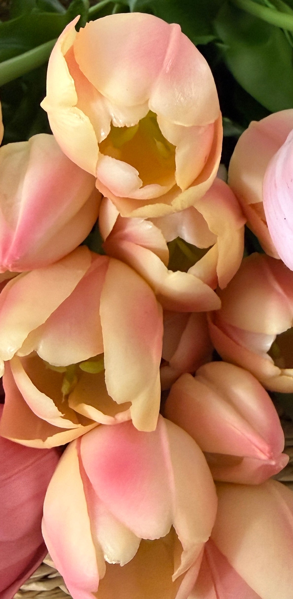 16" Tulip Real Touch Lifelike Bunch (Multiple Colors)