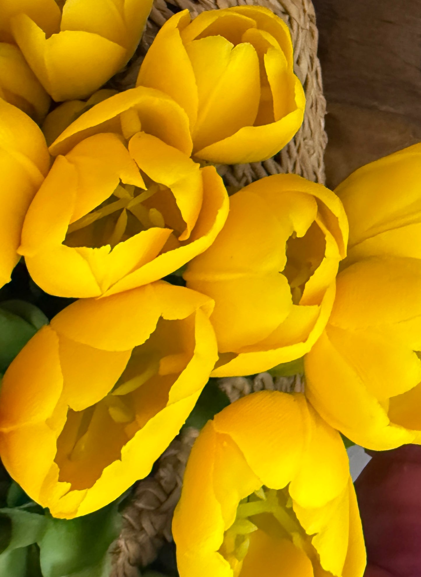 16" Tulip Real Touch Lifelike Bunch (Multiple Colors)
