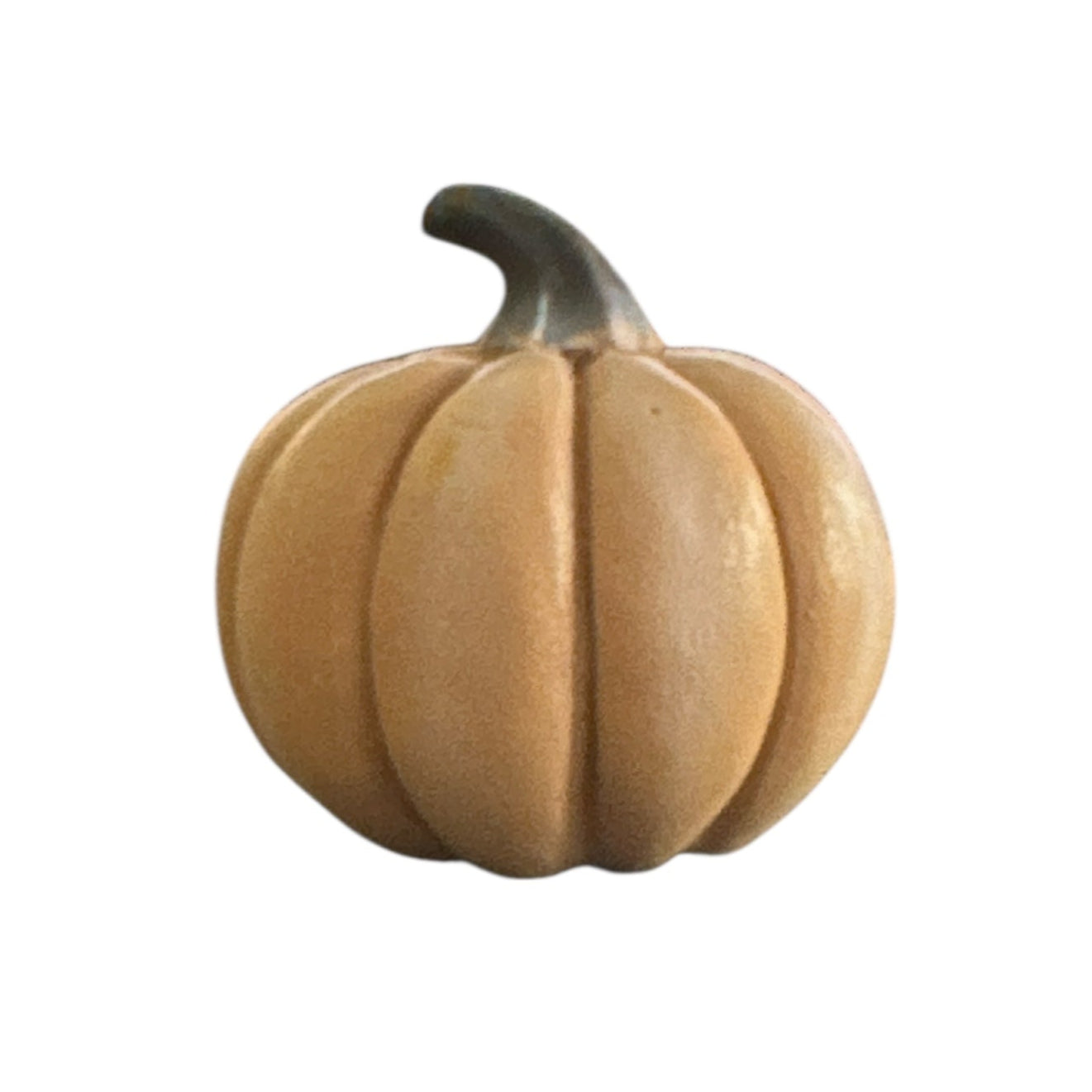 Orange & White Mini Pumpkins (2 colors)