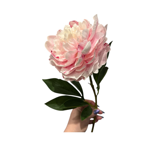 24" Peony Spray (Pink)