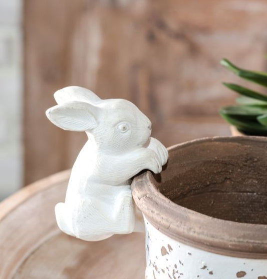 CLIMBING BUNNY POT HANGER