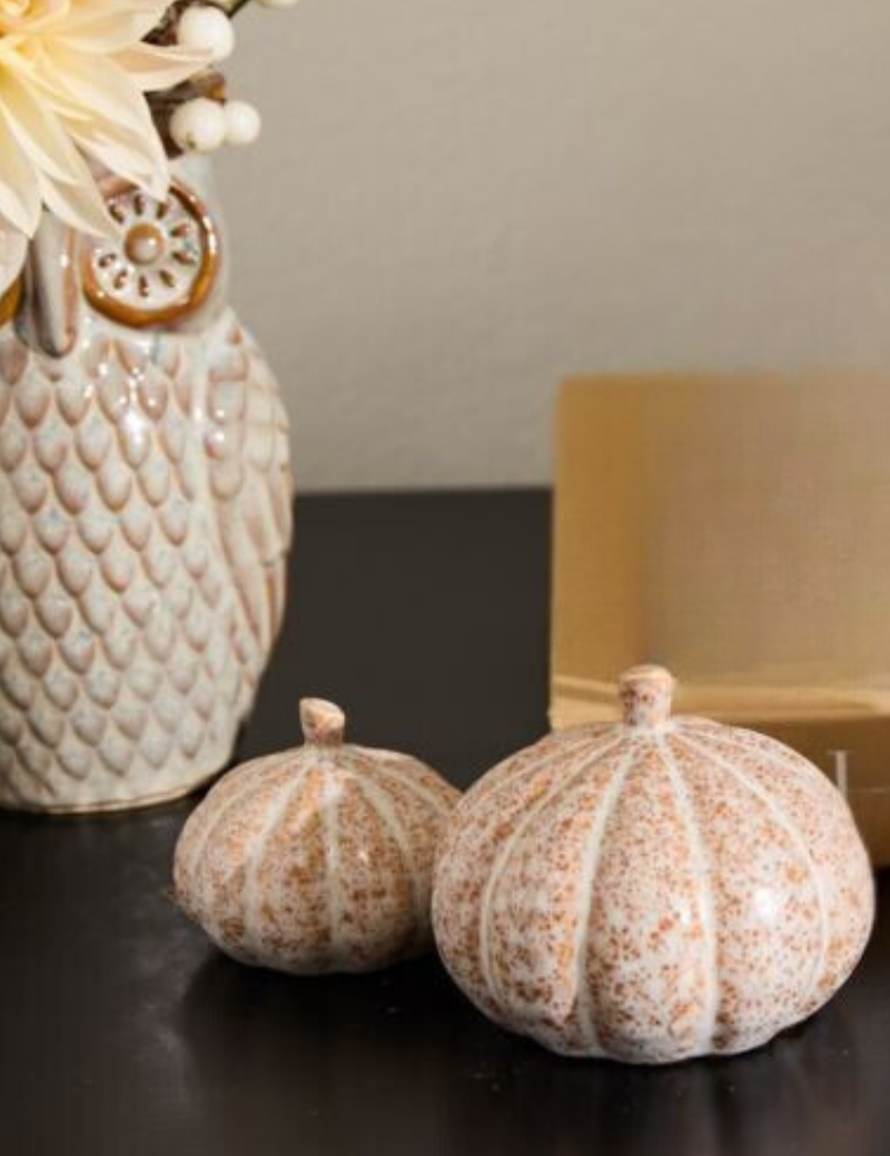Pumpkin Patch Pumpkin set (Orange)